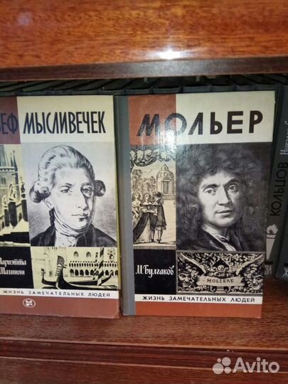 Книги из серии жзл