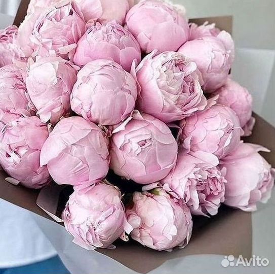 Пионы Букет пионов