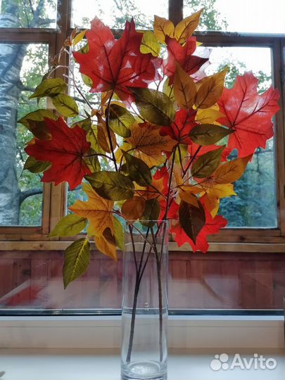 Декоративные осенние ветки (береза, клен, фикус)