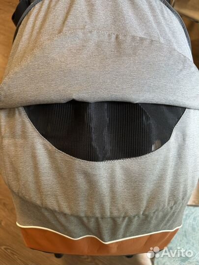 Коляска 2 в 1 Enzo Aro (Польша)