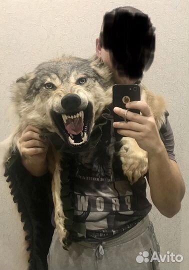 Шкура волка