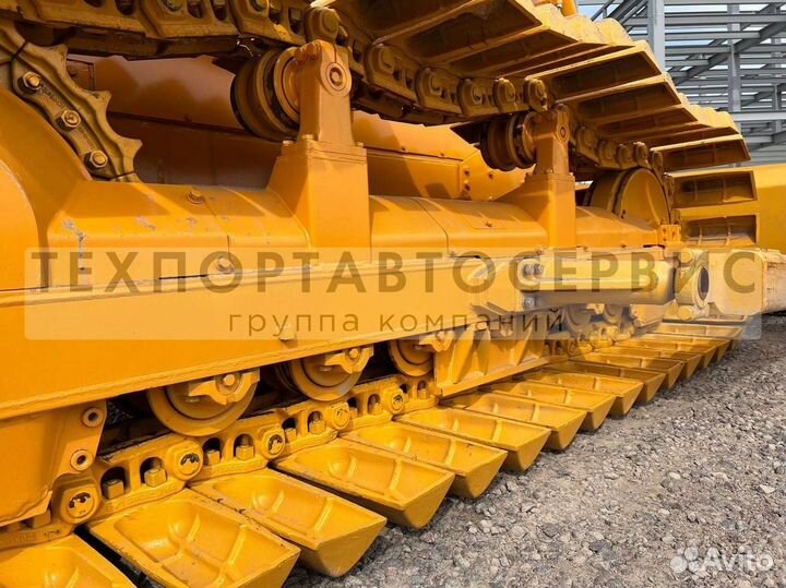Beezone D16-5S, 2023