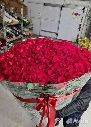 Высокие Розы с Доставкой