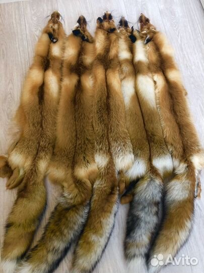 Шкуры рыжей лисы