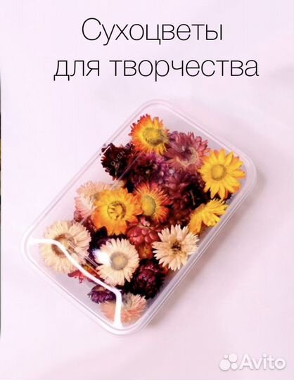 Сухоцветы для творчества/ для эпоксидной смолы/роз