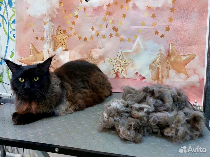 Гигиена,чистка зубов ультрозвуком без наркоза