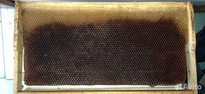 Сушь Рута на 230мм. рамки рута на 230мм