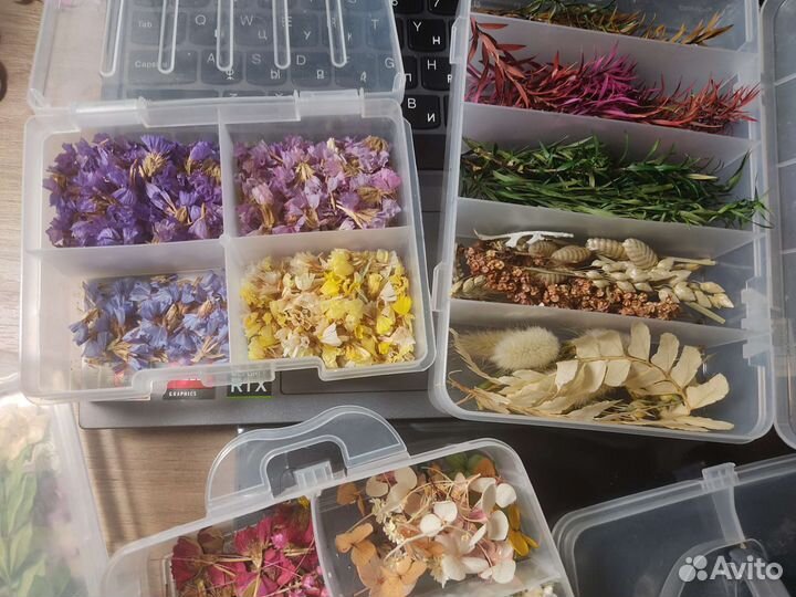 Сухоцветы для творчества, смолы