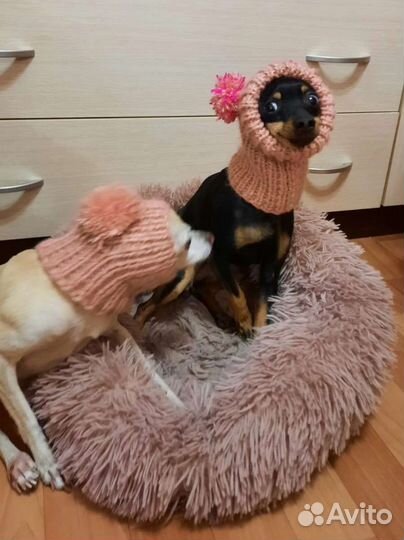 Вязаная шапочка для собак