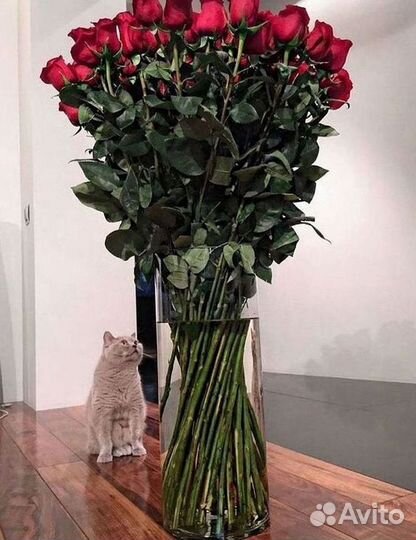 Высокие розы Гигантские розы Доставка цветов