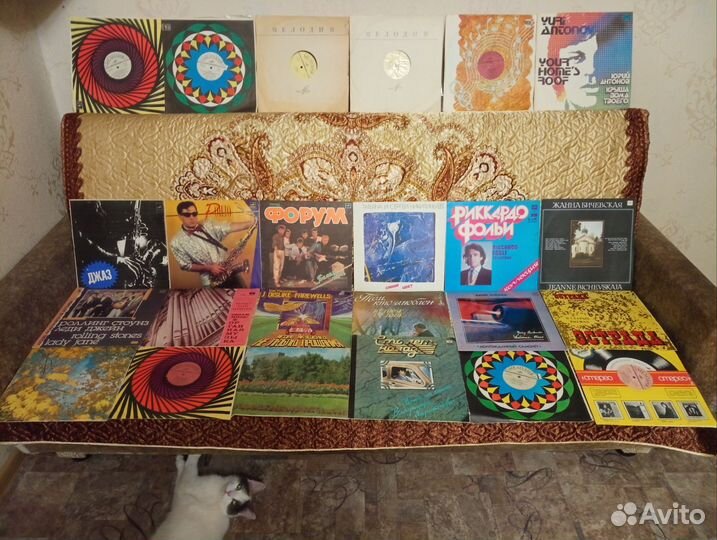 Виниловые пластинки подороже