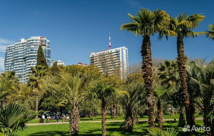 Турпутевка в Сочи 7 нч