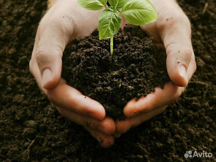 Плодородный грунт в наличии. Яковлевское