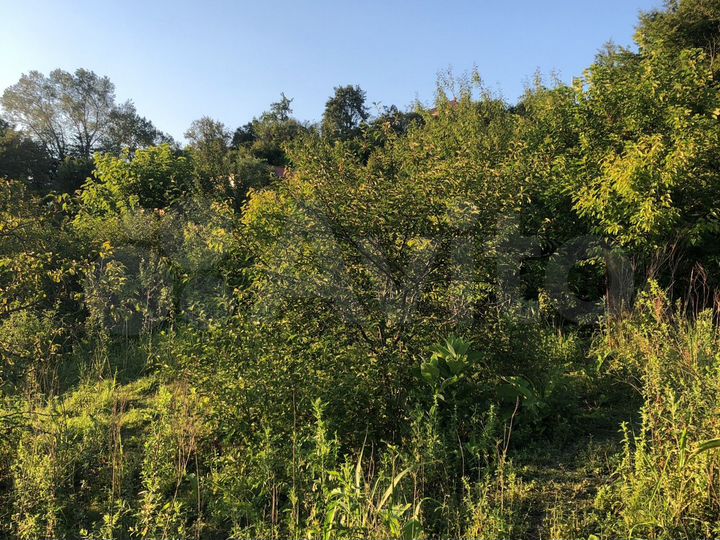 Участок 12,5 сот. (ИЖС)