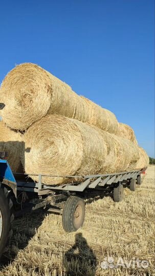 Продам сено в рулонах