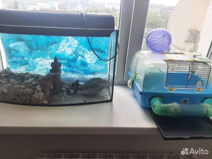 Клетка для хомяка