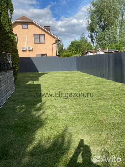 Рулонный газон стандартный