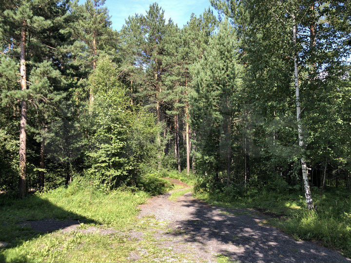 Участок 7 сот. (СНТ, ДНП)