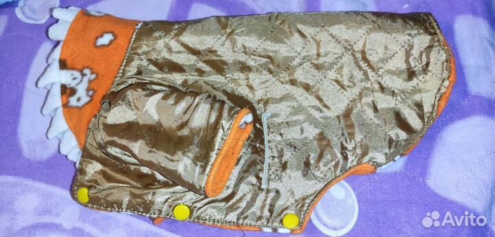 Одежда для собак мелких пород