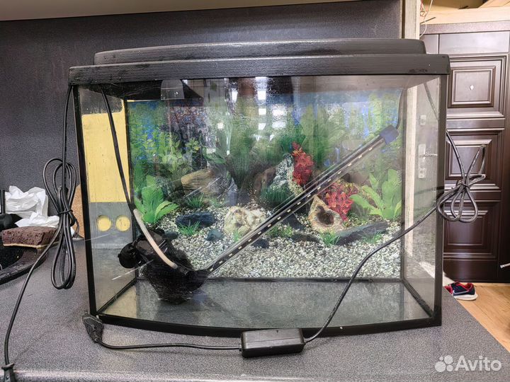 Аквариум с аксессуарами