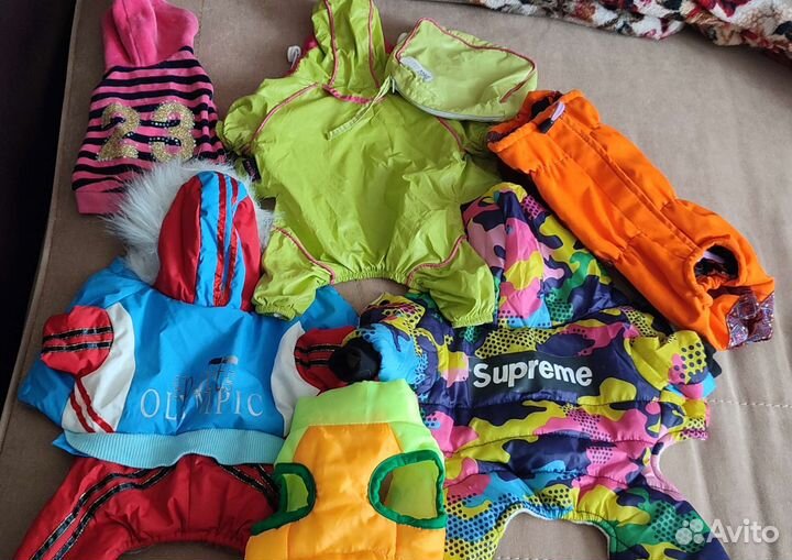 Одежда для собаки