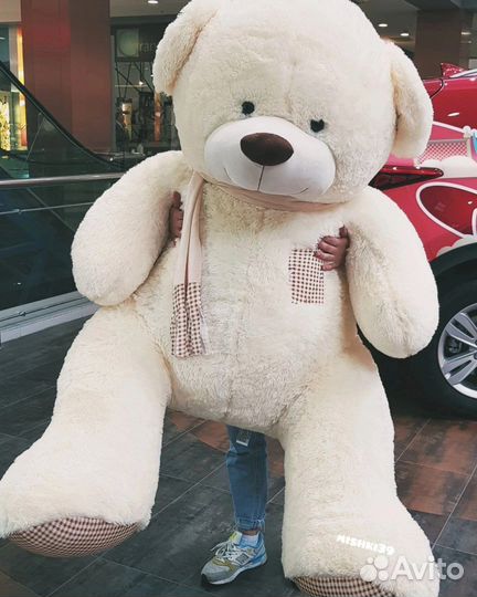 Плюшевый медведь