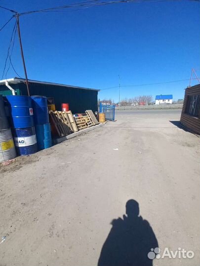 Розмарин 70см