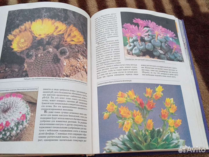 Книга Мини - энциклопедия Комнатные растения