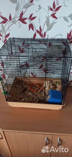Клетка для грызунов бу два хомяка