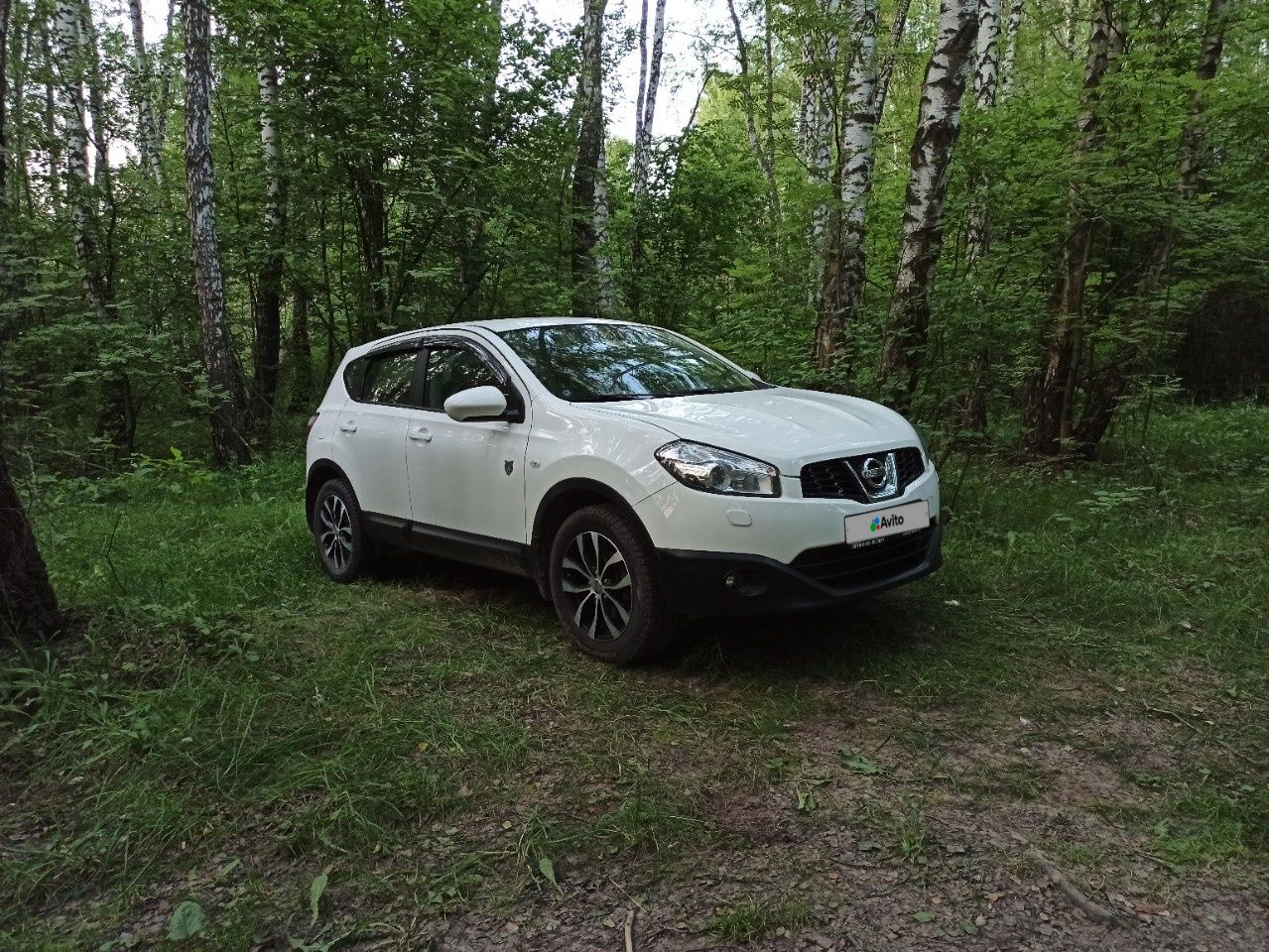 Nissan Qashqai: фото владельца