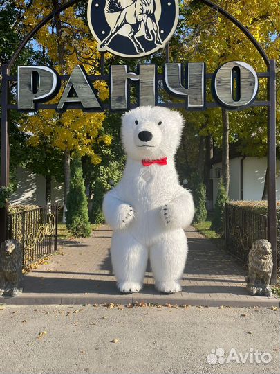 Белый Мишка поздравление/Ростовая кукла/Аниматоры