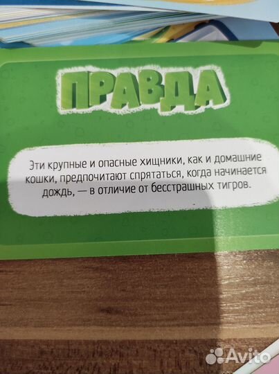Настольная игра 