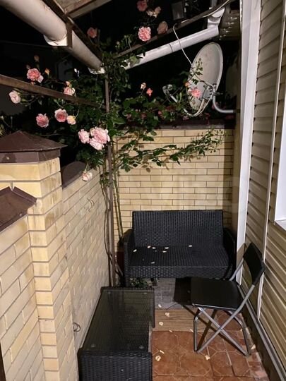 Дом 25 м² на участке 1 сот.