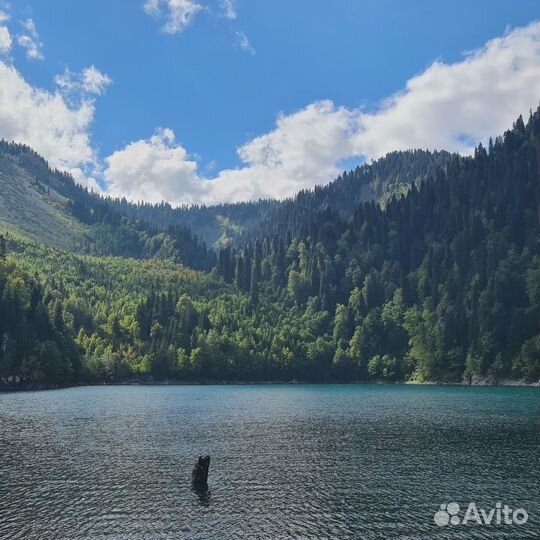 Экскурсии в Абхазию