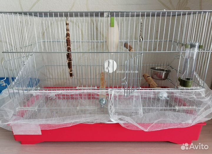 Ручной волнистый попугай с клеткой