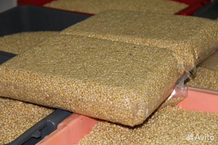 Орех кедровый очищенный