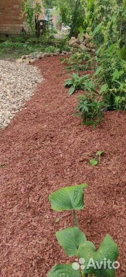 Мульча кора