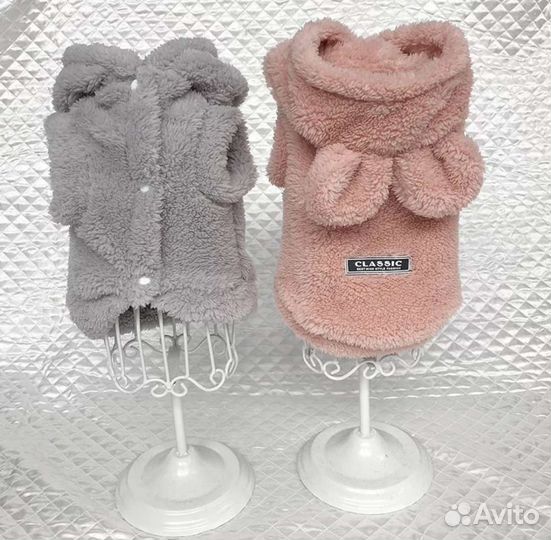 Одежда для животных