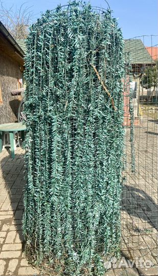 Сетка для забора бу