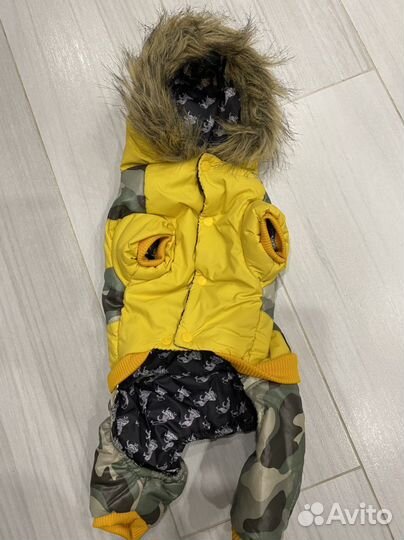 Одежда для собак