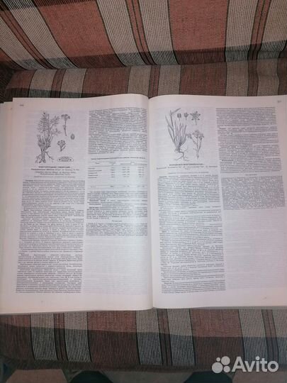 Атлас ресурсов лекарственных растений СССР