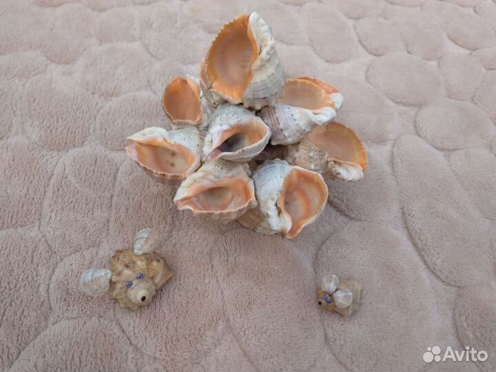 Фигурки из морских ракушек