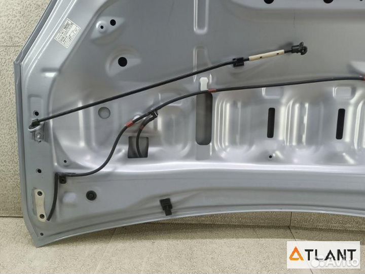 Капот toyota prius