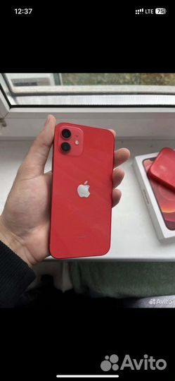 iPhone 12 256