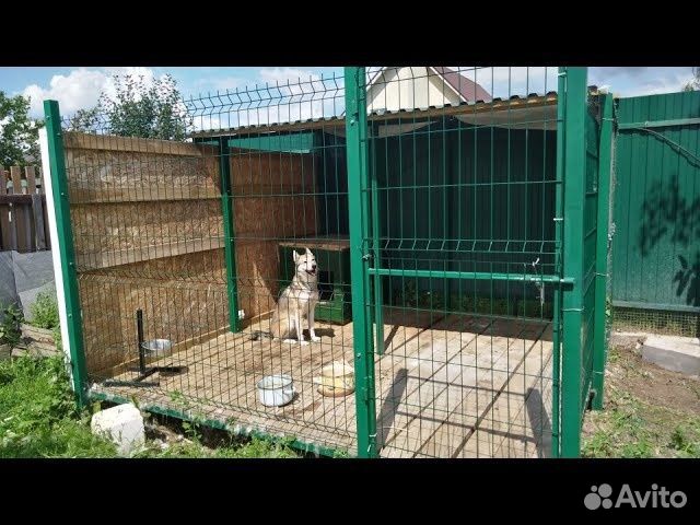 Вольер для собак уличный