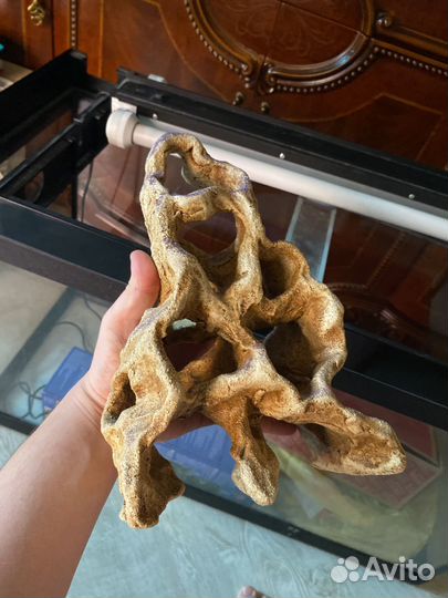 Аквариум для рыб