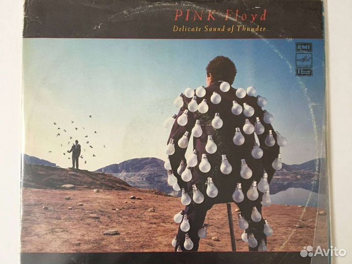 Pink floyd - Delicate Sound of Thunder