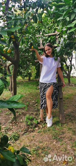 Самый насыщенный тур по осенней Абхазии