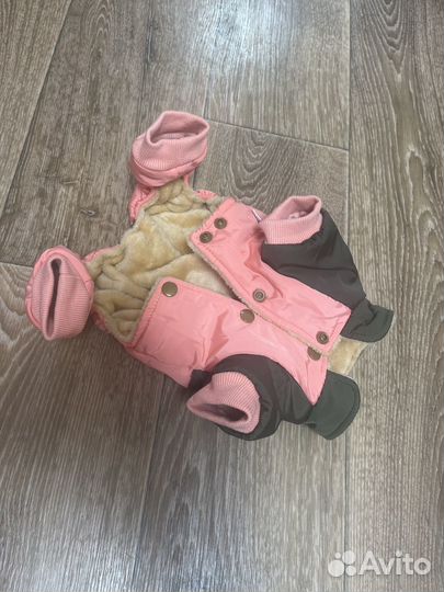 Куртка для собак мелких пород