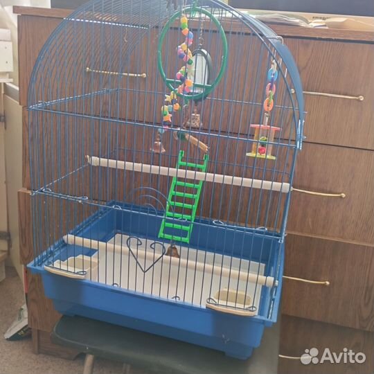 Клетка для попугая